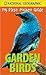National Geographic My First Pocket Guide Garden Birds by David Lindsey