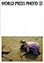 World Press Photo 2005