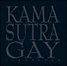 Kamasutra gay / Gay Kamasutra (Spanish Edition)