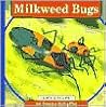 Milkweed Bugs (Life Cycles) Milkweed Bugs (Life Cycles)