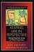 Keeping Life in Perspective by Jim   Henry