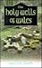 The Holy Wells of Wales
