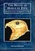 The House of Horus at Edfu:...