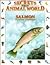 Salmon: Tireless Travelers (Secrets of the Animal World)