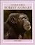 Endangered Forest Animals (Endangered Animals Series)