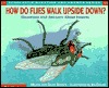 How Do Flies Walk Upside Down?: Questions and Answers About Insects (Question and Answer)