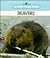 Beavers (New True Book)