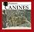 Canines: Predators (Predators Discovery Library)