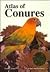 Atlas of Conures: Aratingas and Pyrrhuras