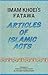 Articles of Islamic Acts