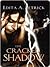 The Cracked Shadow
