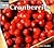 Cranberries