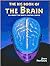 Big Book of the Brain: All About the Body's Control Center