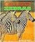 Zebras (Endangered!)
