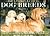 The Ultimate Guide to Dog Breeds by Derek     Hall