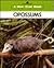 Opossums (A New True Book)