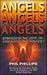 Angels Angels Angels: Embra...