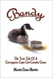 Bandy: The True Tale of a Courageous Cape Cod Canada Goose (Paperback)