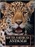 South American Animals