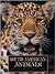 South American Animals