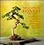 The Essential Bonsai: The D...