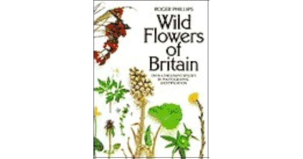 Wild Flowers of Britain Over a Thousand Species by Photographic Identification by Roger Phillips