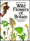 Wild Flowers of Britain (Paperback)