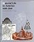 Material Life in America, 1600-1860