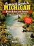 Camper's Guide to Michigan: Parks, Lakes, and Forests : Where to Go and How to Get There