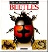 The Fascinating World of Beetles