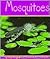 Mosquitoes (Insects)