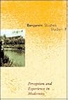 Perception and Experience in Modernity by Helga Geyer-Ryan
