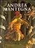 Andrea Mantegna Metropolitan Museum of Art 1993