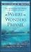 Where Wonders Prevail: True Accounts That Bear Witness to the Existence of Heaven