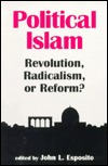 Political Islam: Revolution, Radicalism, or Reform (Paperback)