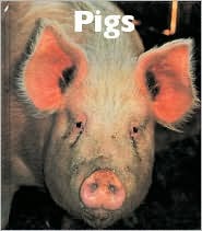 Pigs (Naturebooks)