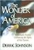 Wonder Of America by Derric Johnson