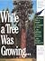 While a Tree Was Growing