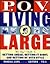 P.O.V. Living Large: The Guy's Guide to Getting Ahead, Getting It Right, and Getting by with Style