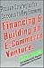 Financing and Building an E-Commerce Venture