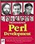 Professional Perl Development
