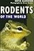 Rodents of the World