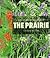 The Prairie by Charles Rotter