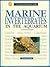 Marine Invertebrates in the...