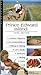 Prince Edward Island: A Col...