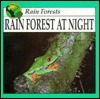 Rain Forest At Night