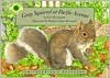 Gray Squirrel at Pacific Avenue (Hardcover)