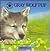 Gray Wolf Pup