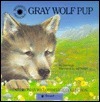 Gray Wolf Pup