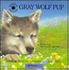 Gray Wolf Pup (Smithsonian Wild Heritage Collection)